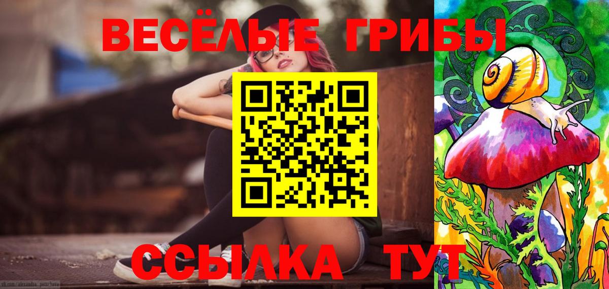Галлюциногенные грибы ЛСД  Вход с VPN  Реж  Галлюциногенные грибы прущие грибы 